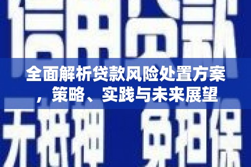 崖州全面解析贷款风险处置方案，策略、实践与未来展望