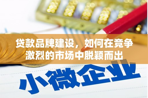 崖州贷款品牌建设，如何在竞争激烈的市场中脱颖而出