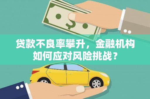 崖州贷款不良率攀升，金融机构如何应对风险挑战？