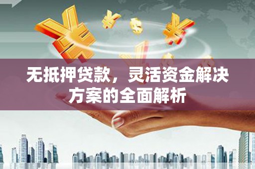 崖州无抵押贷款，灵活资金解决方案的全面解析