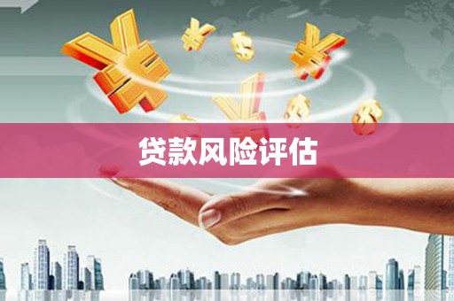 崖州贷款风险评估