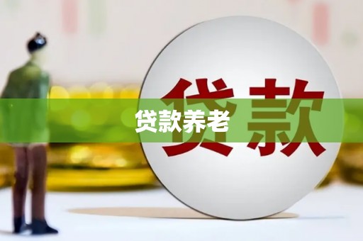 崖州贷款养老