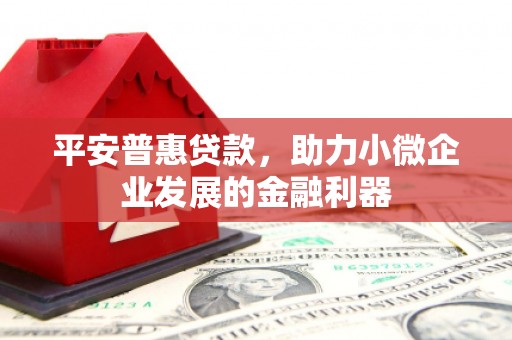 崖州平安普惠贷款，助力小微企业发展的金融利器