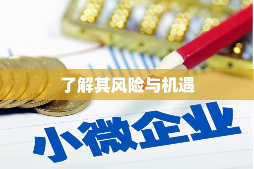 崖州了解其风险与机遇