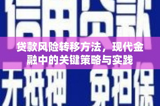 崖州贷款风险转移方法，现代金融中的关键策略与实践