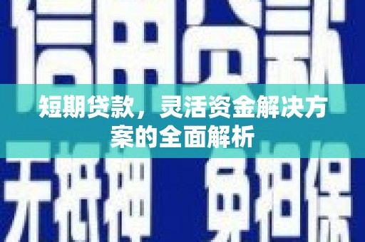 崖州短期贷款，灵活资金解决方案的全面解析
