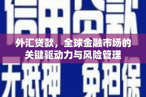 崖州外汇贷款，全球金融市场的关键驱动力与风险管理