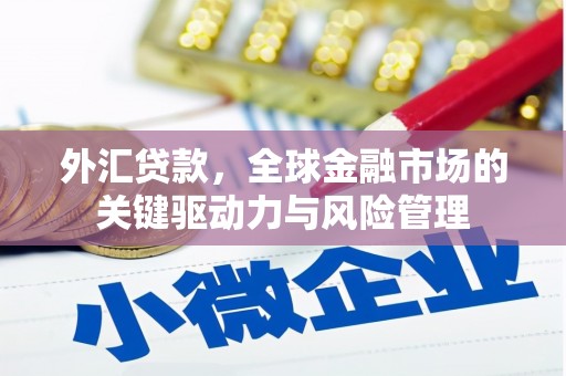 崖州外汇贷款，全球金融市场的关键驱动力与风险管理