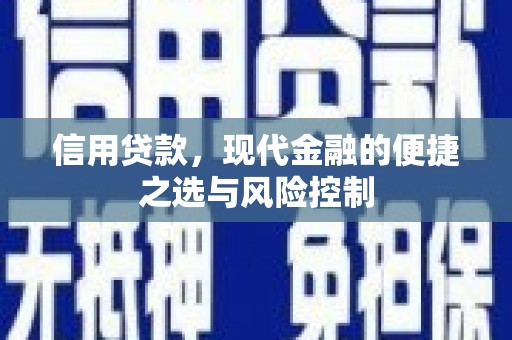 崖州信用贷款，现代金融的便捷之选与风险控制