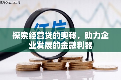 崖州探索经营贷的奥秘，助力企业发展的金融利器