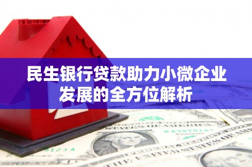 崖州民生银行贷款助力小微企业发展的全方位解析