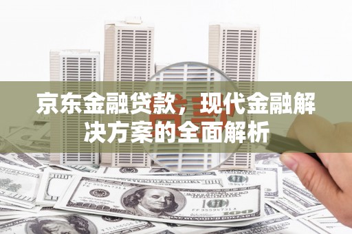 崖州京东金融贷款，现代金融解决方案的全面解析