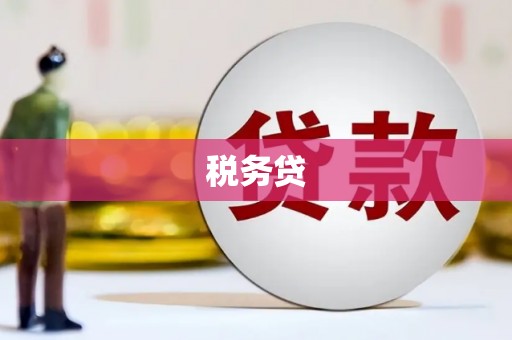 崖州税务贷
