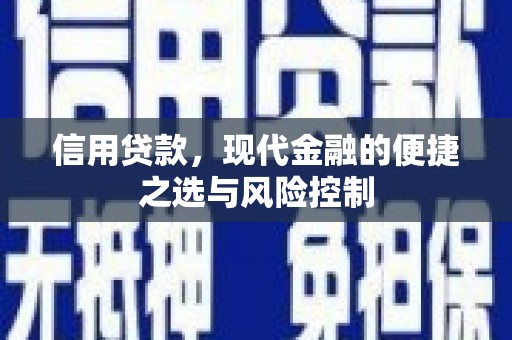 崖州信用贷款，现代金融的便捷之选与风险控制