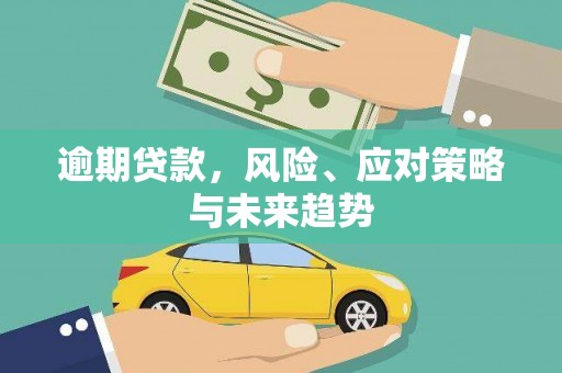 崖州逾期贷款，风险、应对策略与未来趋势