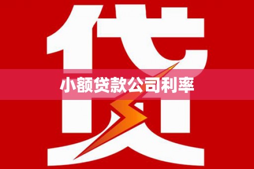 崖州小额贷款公司利率
