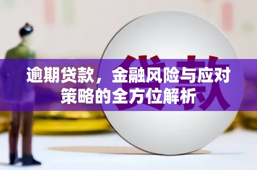崖州逾期贷款，金融风险与应对策略的全方位解析