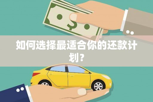 崖州如何选择最适合你的还款计划？