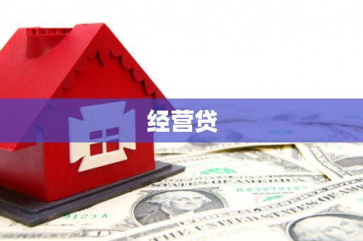 崖州经营贷