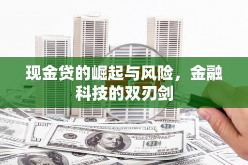 崖州现金贷的崛起与风险，金融科技的双刃剑