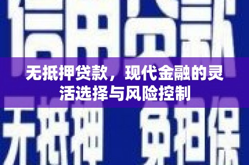 崖州无抵押贷款，现代金融的灵活选择与风险控制