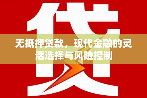 崖州无抵押贷款，现代金融的灵活选择与风险控制