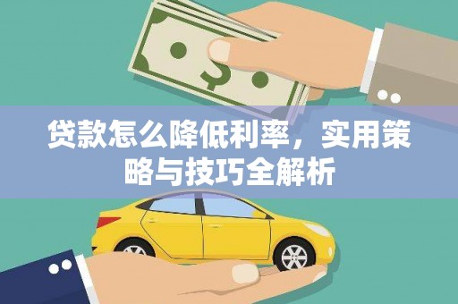 崖州贷款怎么降低利率，实用策略与技巧全解析