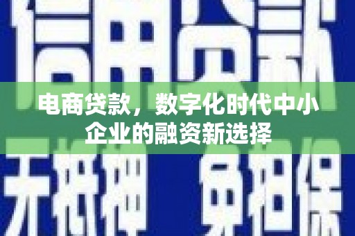 崖州电商贷款，数字化时代中小企业的融资新选择