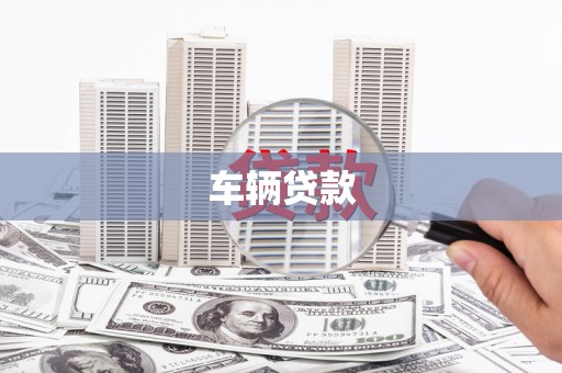 崖州车辆贷款