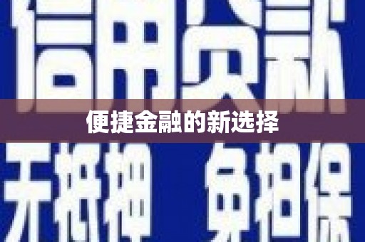 崖州便捷金融的新选择