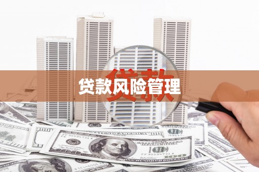崖州贷款风险管理
