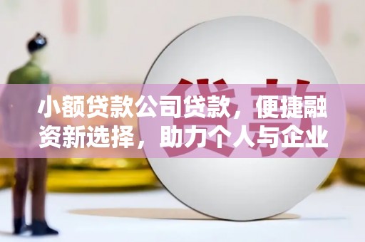 崖州小额贷款公司贷款，便捷融资新选择，助力个人与企业成长