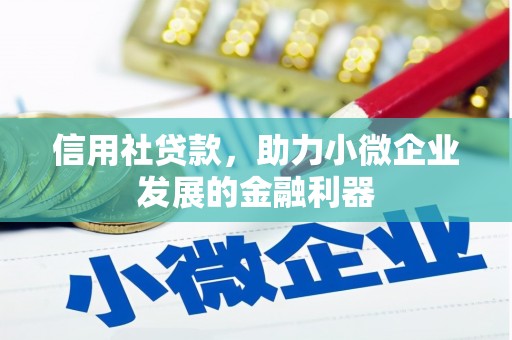 崖州信用社贷款，助力小微企业发展的金融利器