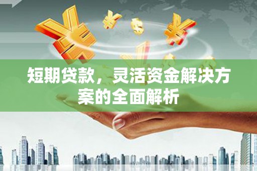 崖州短期贷款，灵活资金解决方案的全面解析