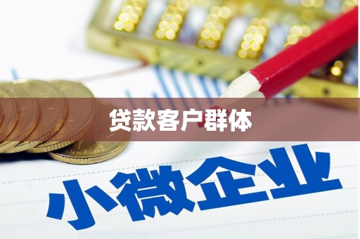 崖州贷款客户群体