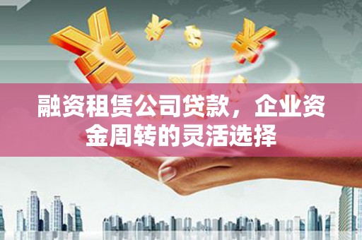 崖州融资租赁公司贷款，企业资金周转的灵活选择