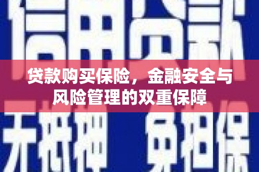 崖州贷款购买保险，金融安全与风险管理的双重保障