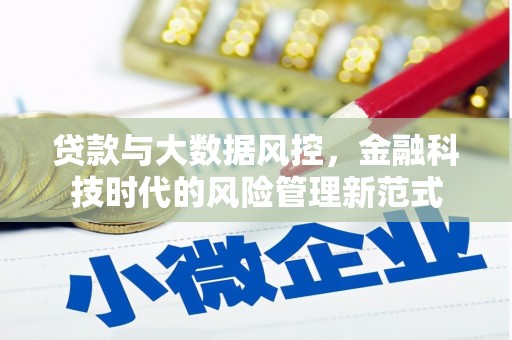 崖州贷款与大数据风控，金融科技时代的风险管理新范式