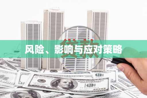 崖州风险、影响与应对策略