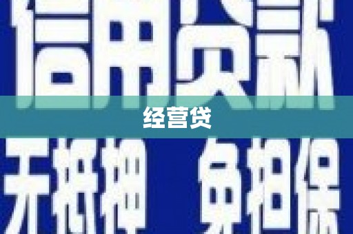 崖州经营贷
