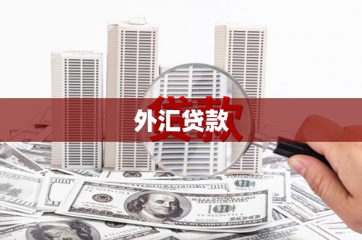 崖州外汇贷款