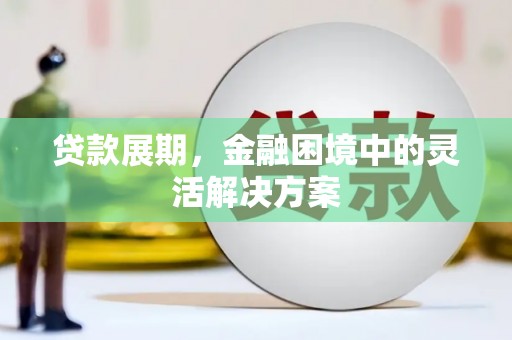 崖州贷款展期，金融困境中的灵活解决方案