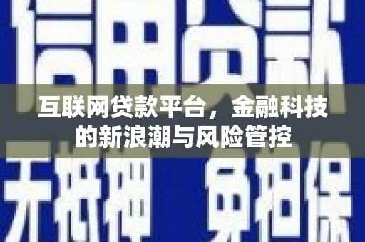 崖州互联网贷款平台，金融科技的新浪潮与风险管控