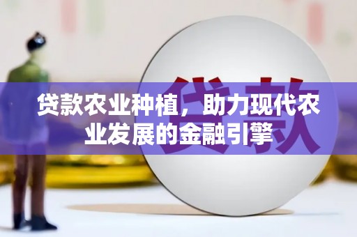 崖州贷款农业种植，助力现代农业发展的金融引擎