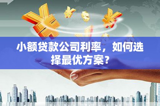 崖州小额贷款公司利率，如何选择最优方案？