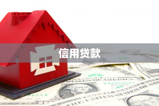 崖州信用贷款