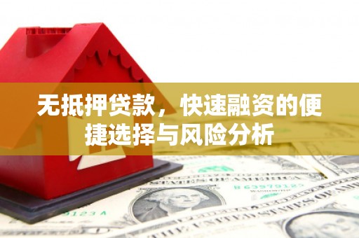 崖州无抵押贷款，快速融资的便捷选择与风险分析