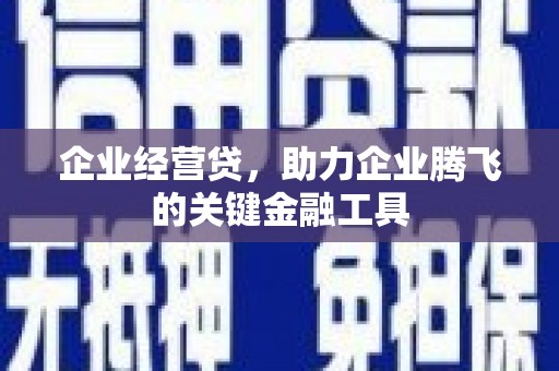 崖州企业经营贷，助力企业腾飞的关键金融工具