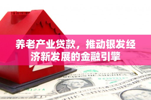 崖州养老产业贷款，推动银发经济新发展的金融引擎
