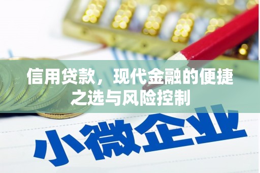 崖州信用贷款，现代金融的便捷之选与风险控制